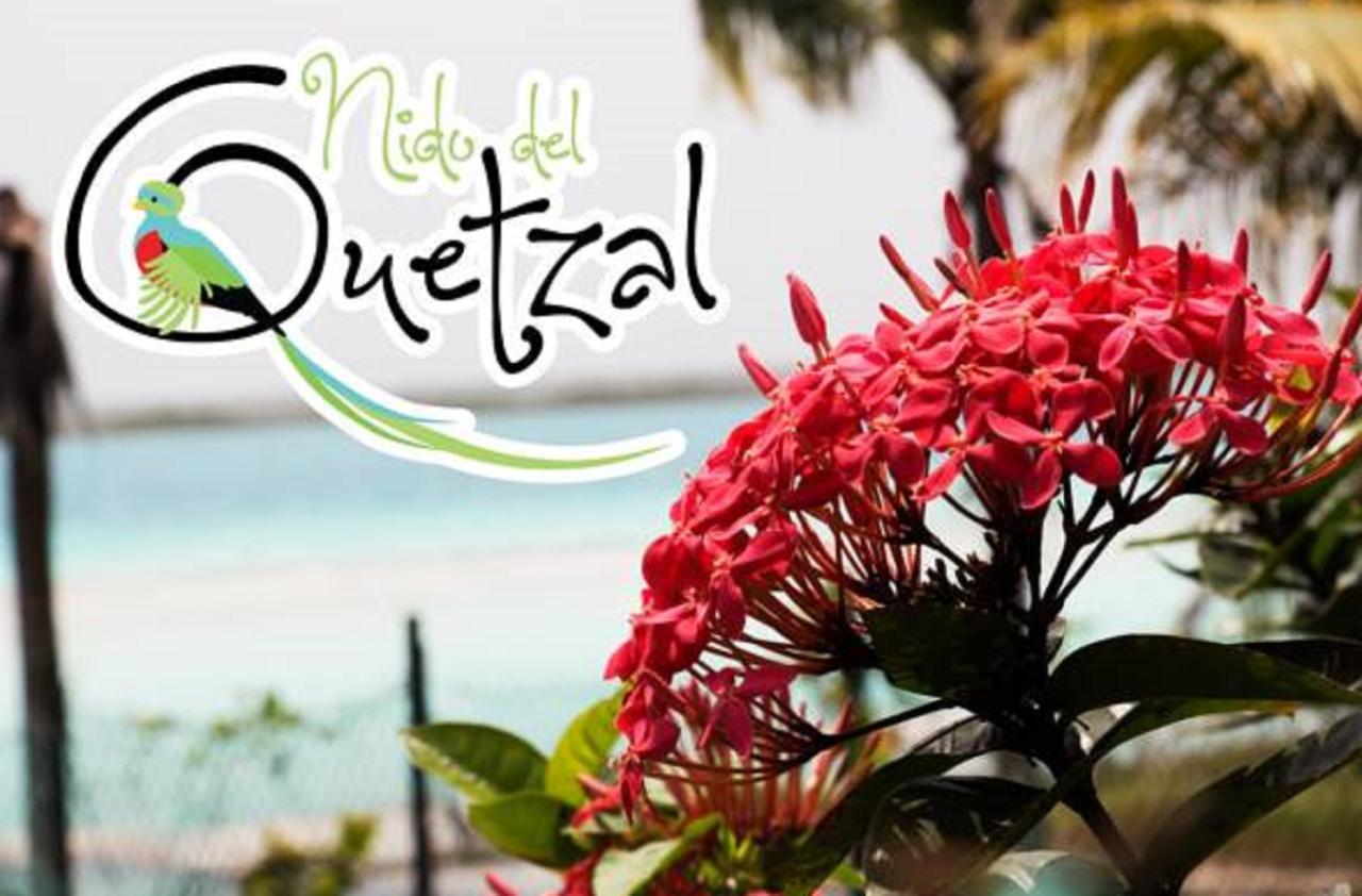 Nido Del Quetzal Bacalar